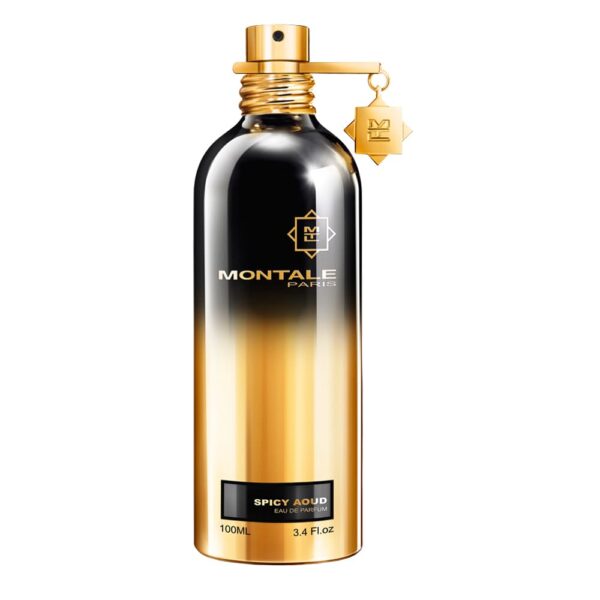 Montale Spicy Aoud EDP 100 ml D