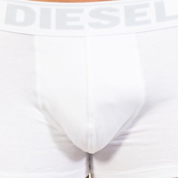 Kory Boxer Diesel