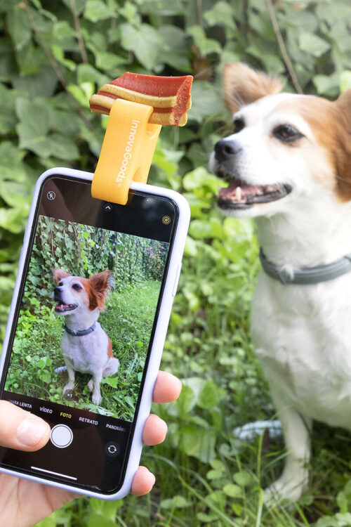 Clip per Selfie per Animali Domestici Pefie InnovaGoods