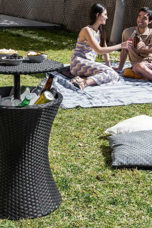 Tavolo Frigorifero da Giardino 3 in 1 Frizzble InnovaGoods